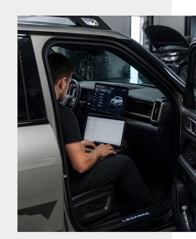 Русификация BYD Leopard 3 в Партизанске по цене от 21359 р. | ФастМобиль-Прт